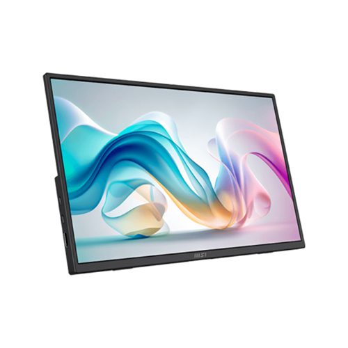 MSI PRO MP165 E6 Portable Monitor